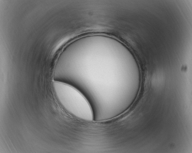 X0000113951163200909250956