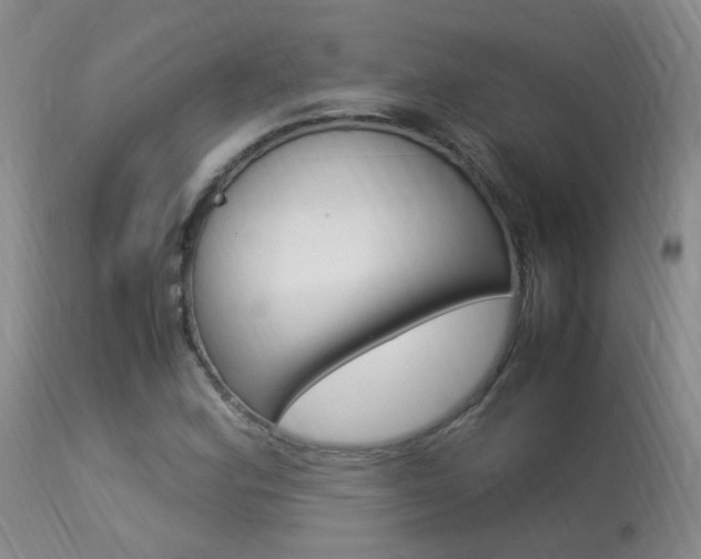 X0000113951164200909250956