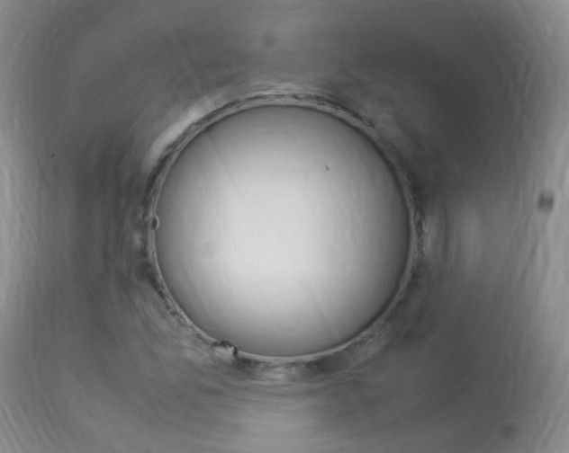 X0000113951165200909250956