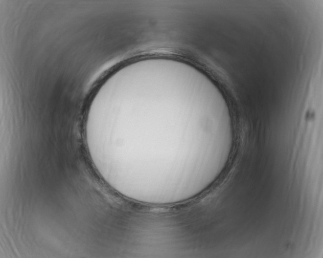 X0000113951166200909250956