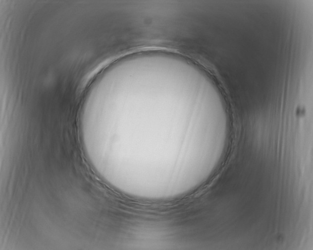 X0000113951167200909250956