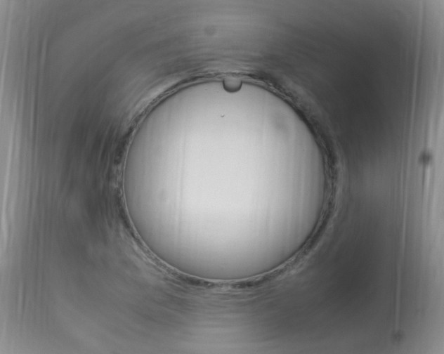 X0000113951169200909250956