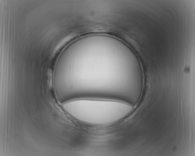 X0000113951171200909250956