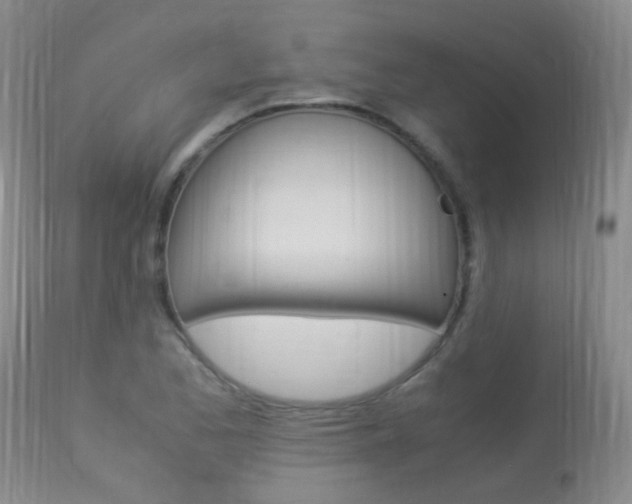 X0000113951173200909250956