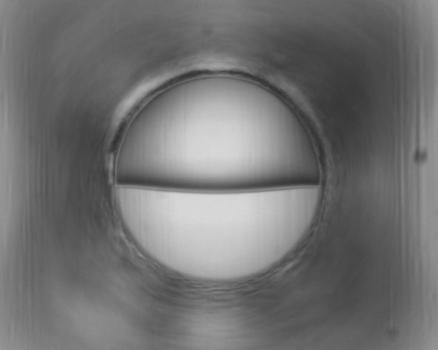 X0000113951175200909250956