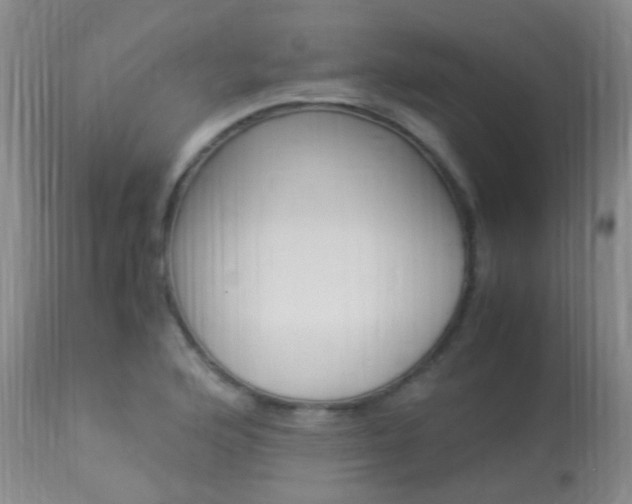 X0000113951176200909250956