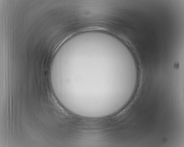 X0000113951177200909250956