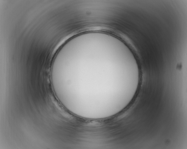 X0000113951178200909250956