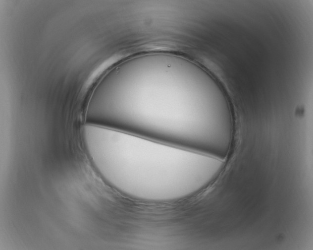 X0000113951179200909250956