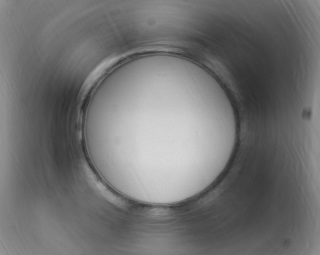 X0000113951180200909250956