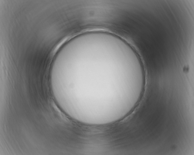 X0000113951181200909250956
