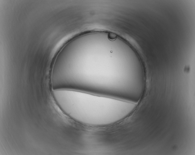 X0000113951183200909250956