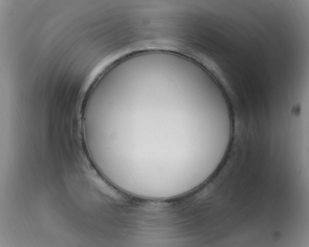 X0000113951184200909250956