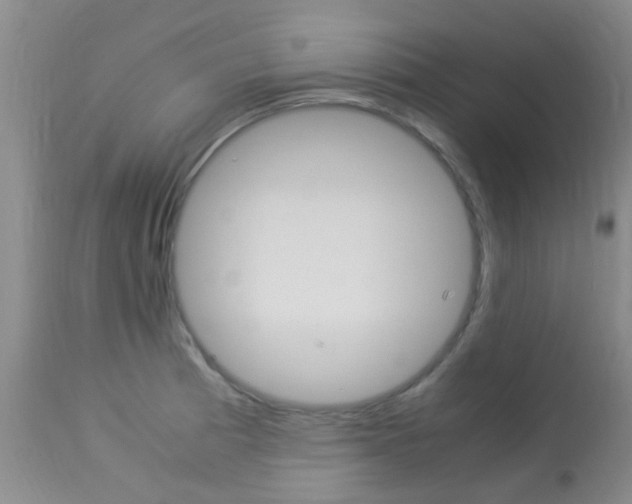 X0000113951185200909250956