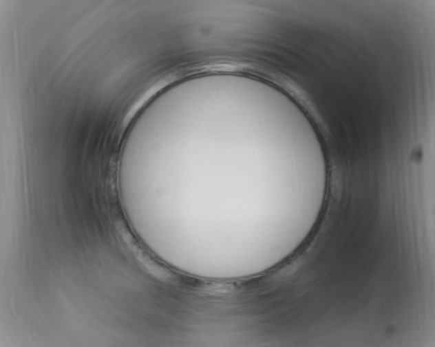 X0000113951186200909250956