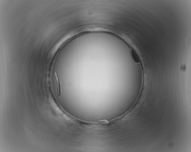 X0000113951189200909250956