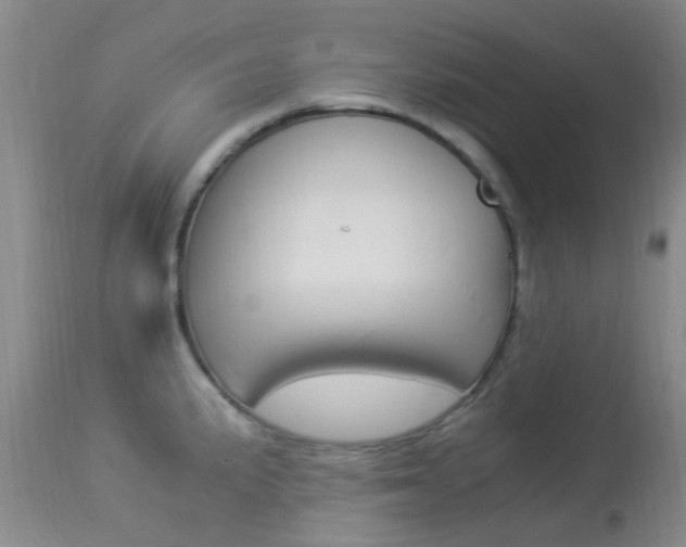 X0000113951191200909250956