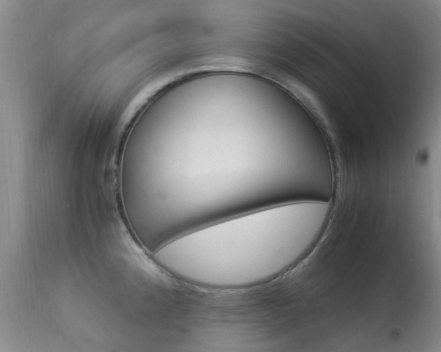 X0000113951192200909250956