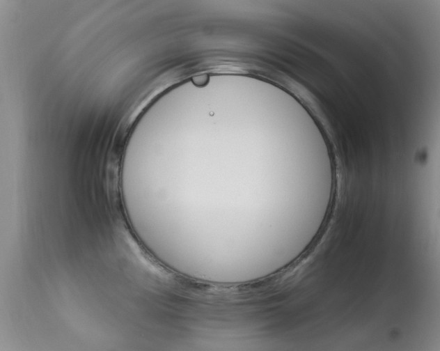 X0000113951194200909250955