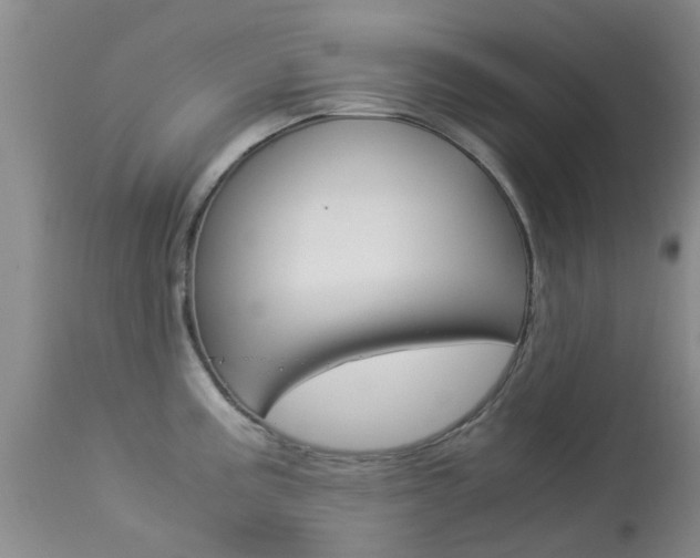 X0000113951195200909250955