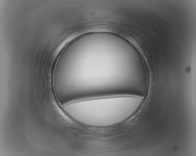 X0000113951197200909250955