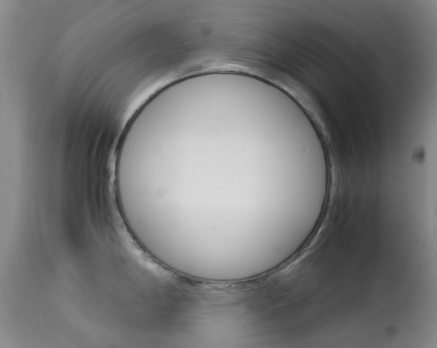 X0000113951198200909250955
