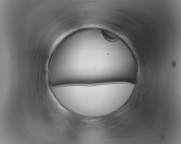 X0000113951199200909250955