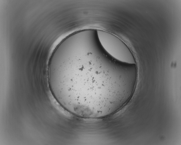 X0000113951200200909250955