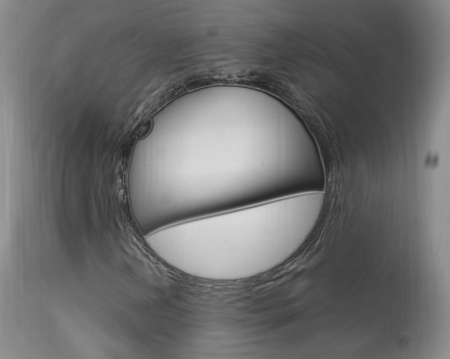 X0000113951202200909250955