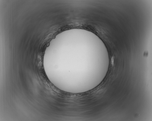 X0000113951203200909250955