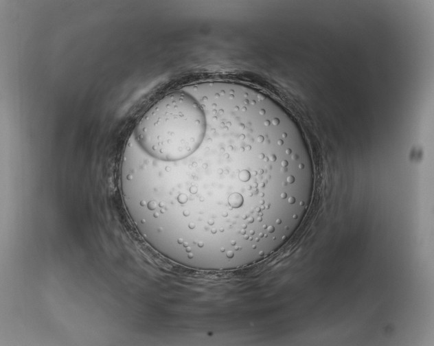 X0000113951205200909250955