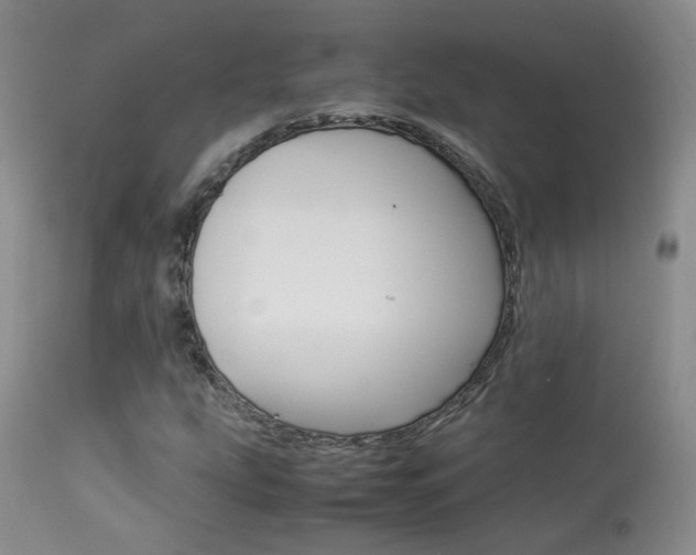 X0000113951207200909250955