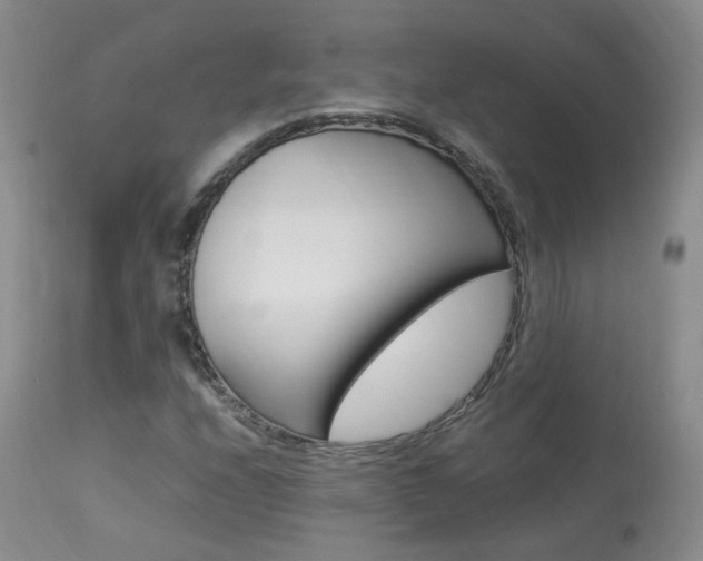 X0000113951208200909250955
