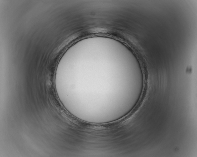 X0000113951209200909250955