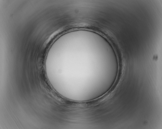 X0000113951210200909250955