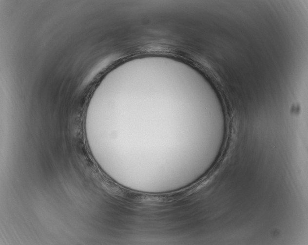 X0000113951211200909250955
