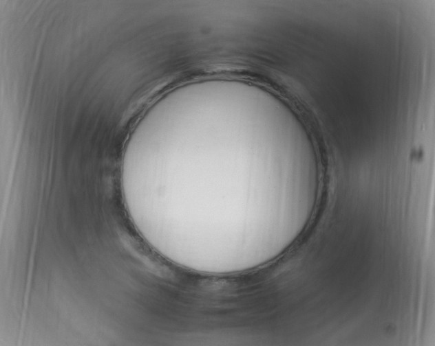 X0000113951217200909250955