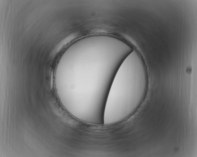 X0000113951219200909250955