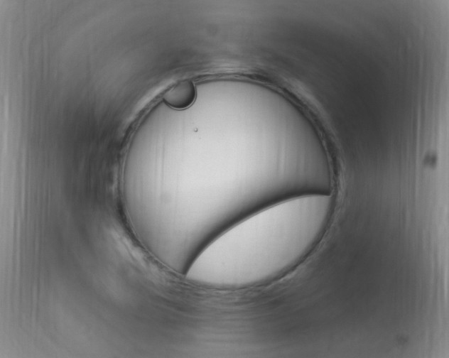 X0000113951220200909250955