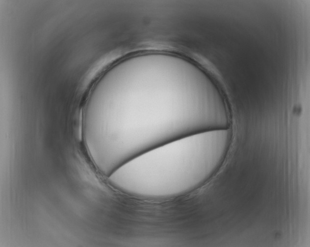 X0000113951223200909250955