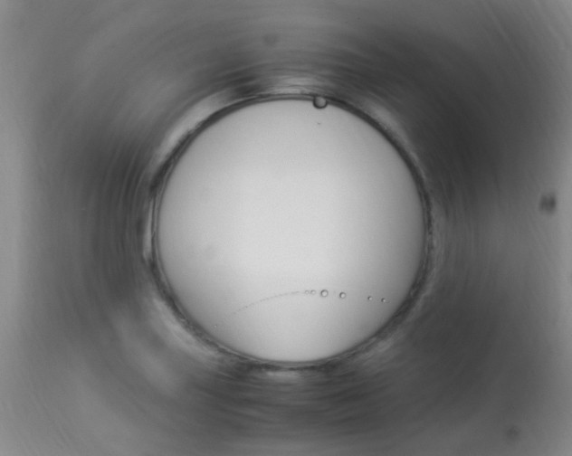 X0000113951227200909250955