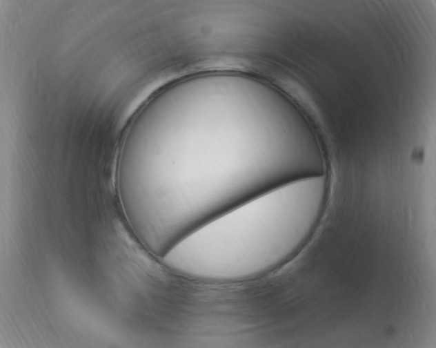 X0000113951228200909250955