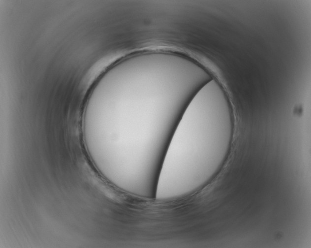 X0000113951231200909250955