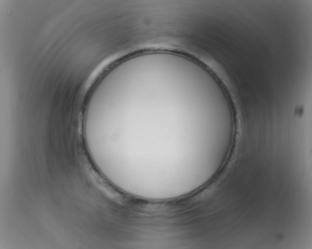 X0000113951232200909250955