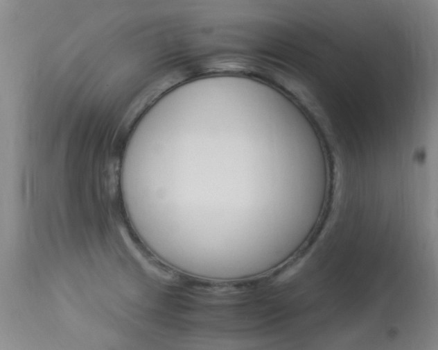X0000113951233200909250955