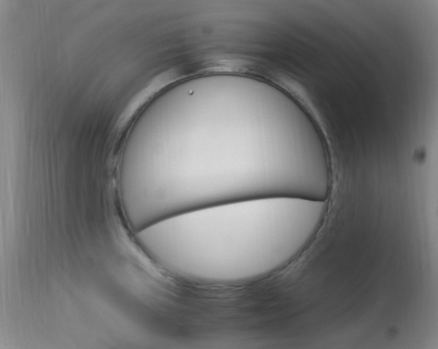 X0000113951235200909250955