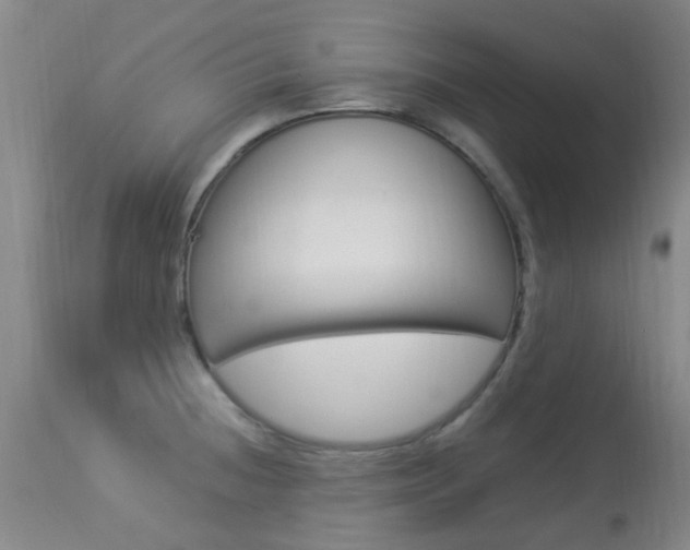 X0000113951236200909250955