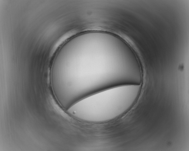 X0000113951238200909250955