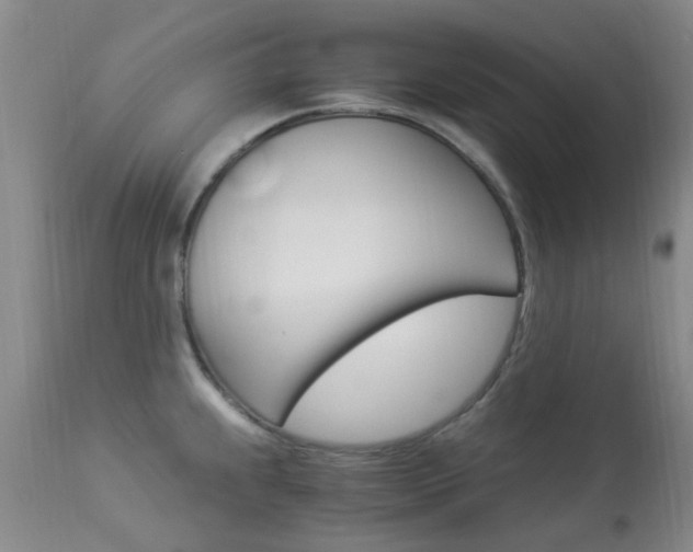 X0000113951239200909250955