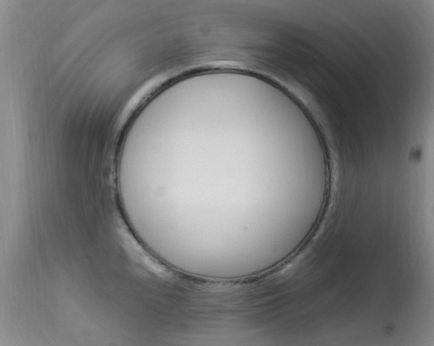 X0000113951240200909250955